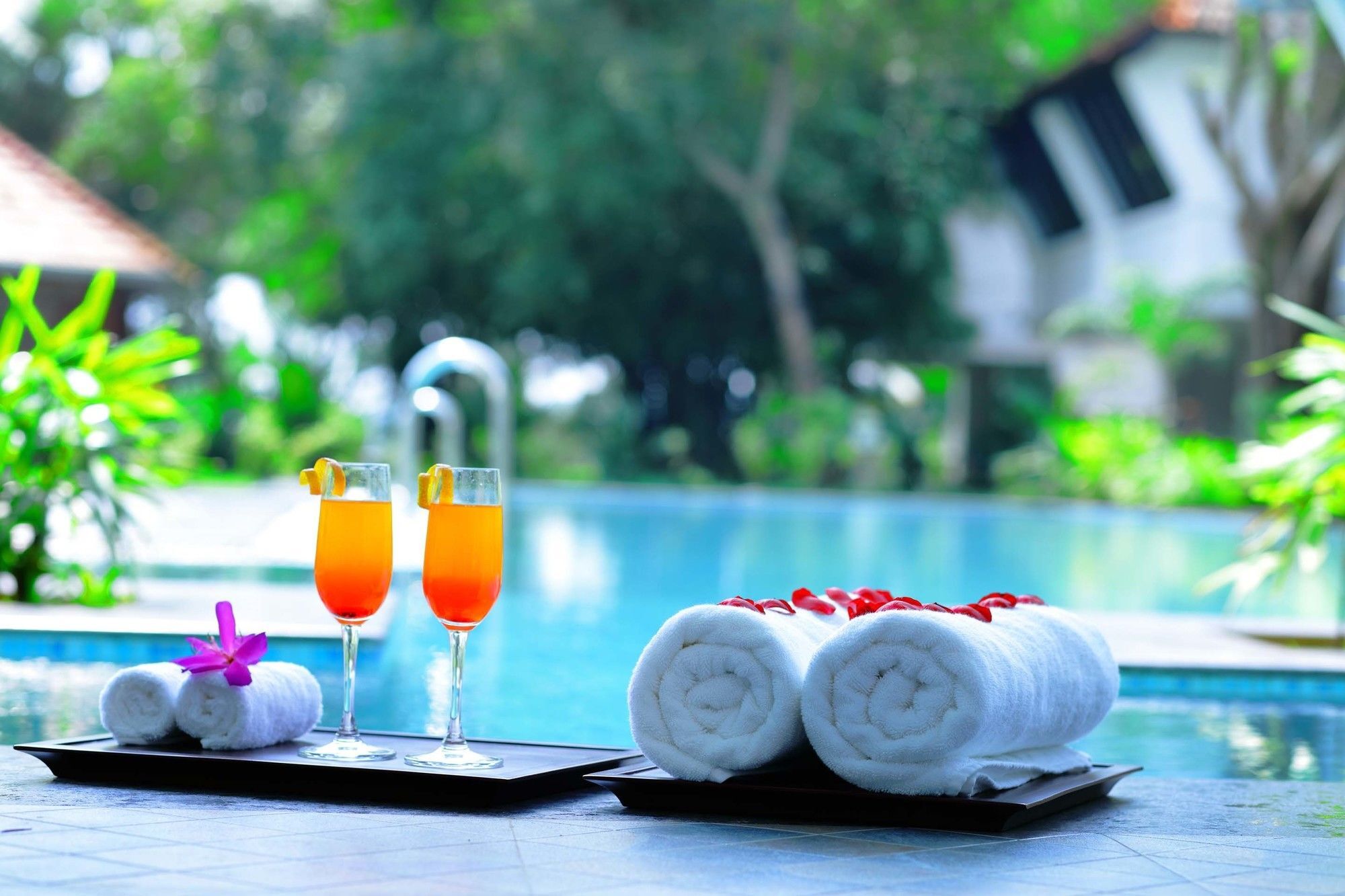 Nihara Resort And Spa Kochi Luaran gambar